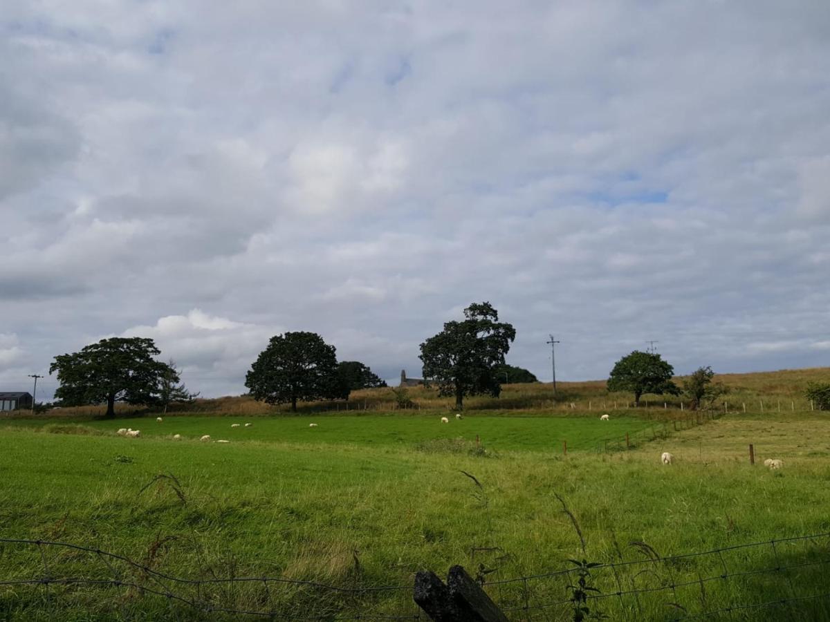 Lower Turnerford Farmhouse Newby  Esterno foto