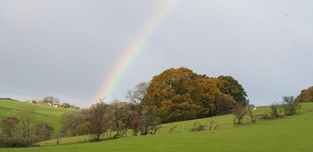 Lower Turnerford Farmhouse Newby  Esterno foto