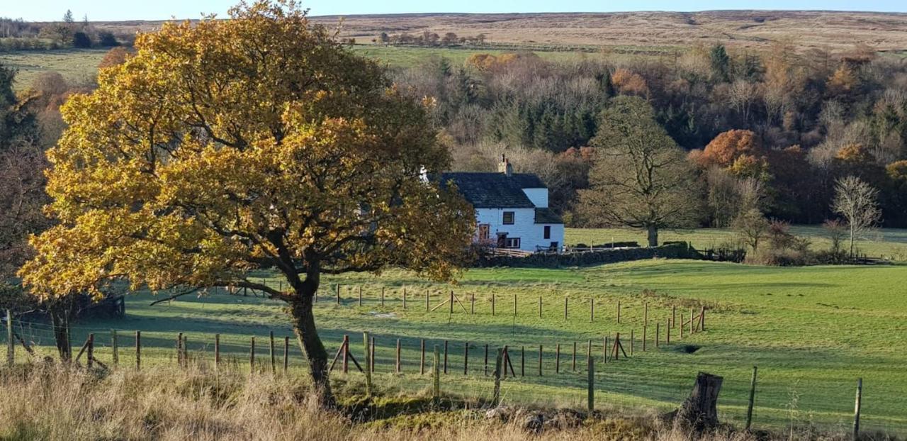Lower Turnerford Farmhouse Newby  Esterno foto